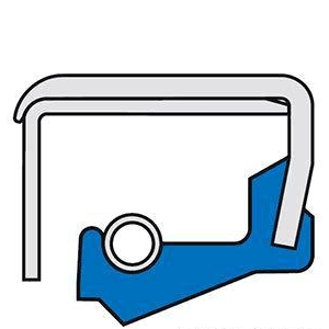 骨架油封的三種形式